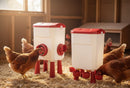 CARLA HOME Automatic Chicken Feeder Waterer Set with 8KG Food 7L Water Capacity for Coop, Chickens, Ducks, Quails (Red)-2050057513818263553