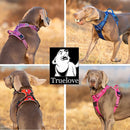 True Love No Pull Explosion Proof Dog Harness - Blue, S-1831155629272731651