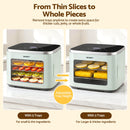 Devanti Food Dehydrator Machine 5 Tray Mini Fruit Dryer Maker Green