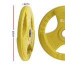Everfit Weight Plates Olympic 20kg Dumbbell Barbell Plate Weight Lifting Home Gym Yellow