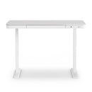 Artiss Standing Desk Motorised Electric Desks Drawer 120CM White