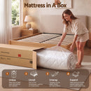 Giselle 30cm Queen Spring Mattress Tencel Cover 5-Zone Firm Back Support