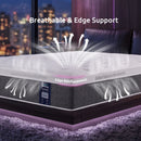 Levitex King Mattress Lumbar Support, 5-Zone Pocket Springs & 2-Row Hardened Edges for Deep Sleep, Cooling Gel Memory & Egg-Crate Foam