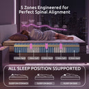 Levitex Queen Mattress 2 Rows Edge Support for Deep Sleep 5-Zone Ergonomic Pocket Spring Breathable Corrugated Sponge Medium Firm 30CM