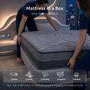 Levitex 25 cm Hybrid Pocket Spring Mattress Firm with 4cm Egg Crate Foam for Deep Sleep Bamboo Charcoal Fabric Queen