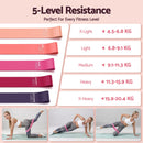 Everfit Pilates Ring Set for Women, 15pcs Home Workout Pilates Equipment with Ring, Ball, Yoga Socks, D-Ring etc. Pilates Starter Kit for Strength, Toning and Flexibility Pink