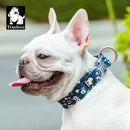 True Love Floral Dog Collar - Blue, XL-1962324872499695619
