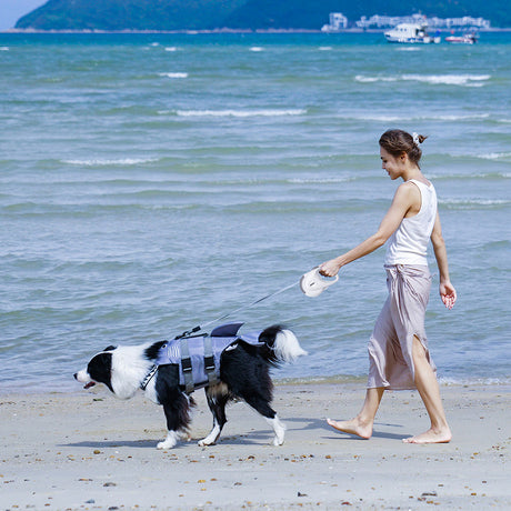 pet products Pet Strong Spring Telescopic Traction Device