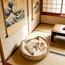 round woven cat bed, cat bed Australia, woven cat bed, cat furniture, cat resting place, cat comfort bed, pet bed Australia, small pet bed, cat sleeping bed, natural cat bed