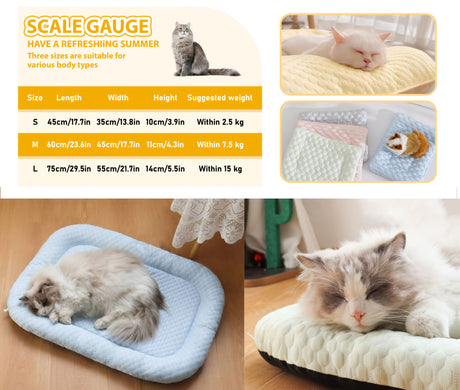 Blue Green orthopedic dog bed, memory foam dog bed, dog bed for medium dogs, comfortable dog bed, durable dog bed, joint support dog bed, Australian pet bed