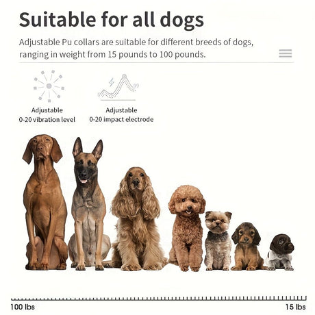 Black dog trainer collar, stop barking, dog training, pet care, dog accessories, Australian pet products, humane dog training, bark control collar
