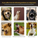 Black dog trainer collar, stop barking, dog training, pet care, dog accessories, Australian pet products, humane dog training, bark control collar