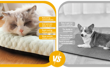 Green orthopedic dog bed, memory foam dog bed, dog bed for medium dogs, comfortable dog bed, durable dog bed, joint support dog bed, Australian pet bed
