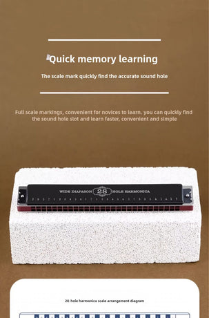 Black 28-hole harmonica, double-row harmonica, professional harmonica, diatonic harmonica, music accessory, harmonica for beginners, harmonica for professionals, Australian music store