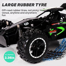 2.4G remote control car, high-speed off-road car, remote control toy for kids, four-wheel drive car, RC car with lights, outdoor toy Australia, gift for kids - Black - Size Three-electric systems
