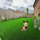 Green Artificial Turf Australia Reusable Pet Grass Dog Lawn Turf Drainage Holes Turf