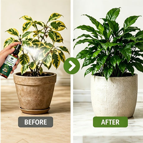 Green White Foliage Spray Plant Care Leaf Brightening Yellow Leaf Remover Dusting Spray