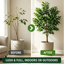 Green White Foliage Spray Plant Care Leaf Brightening Yellow Leaf Remover Dusting Spray