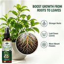 Green White Foliage Spray Plant Care Leaf Brightening Yellow Leaf Remover Dusting Spray