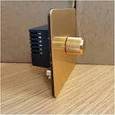 Trending Golden - Hued Electronic Control Device: High - Quality & Stylish! Free Shipping