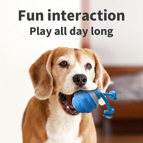 Blue Dog Toy Interactive Dog Toy Dog Ball Toy Dog Toy With Rope Pet Toy Dog Play Toy