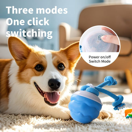 Blue Dog Toy Interactive Dog Toy Dog Ball Toy Dog Toy With Rope Pet Toy Dog Play Toy