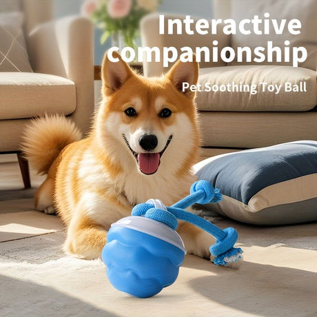 Blue Dog Toy Interactive Dog Toy Dog Ball Toy Dog Toy With Rope Pet Toy Dog Play Toy