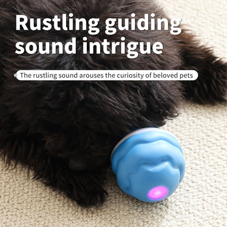Blue Dog Toy Interactive Dog Toy Dog Ball Toy Dog Toy With Rope Pet Toy Dog Play Toy