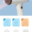 Black Portable Hair Dryer High-Quality Hair Dryer Quick-Dry Hair Dryer Travel Hair