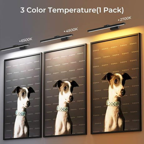 Modern LED Picture Light for Art Display, Sleek Black Finish