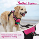 Anti-escape dog harness & leash, soft and comfortable breathable dog vest, reflective in the night, suitable for walking medium and large dogs.