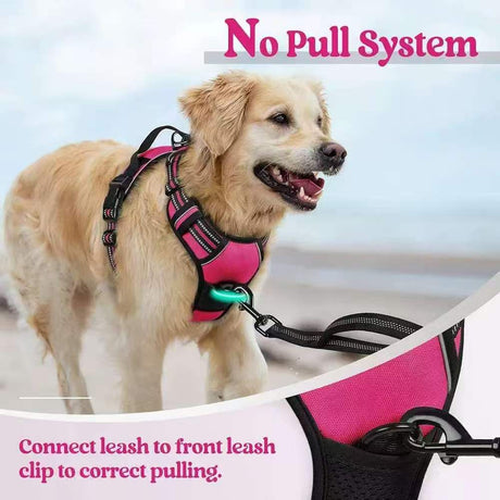 Anti-escape dog harness & leash, soft and comfortable breathable dog vest, reflective in the night, suitable for walking medium and large dogs.