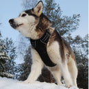 Anti-escape dog harness & leash, soft and comfortable breathable dog vest, reflective in the night, suitable for walking medium and large dogs.