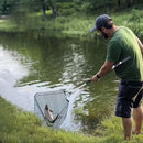 A multifunctional telescopic fishing net, the handle can be extended from 110 cm to 210 cm, which is very suitable for freshwater fishing, suitable for children and adults to use.