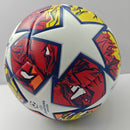 European Champions League painted football, seamless fit, perfect for family, school, club entertainment training and game excellent football