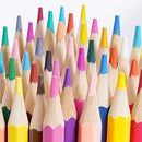 48 Pcs Premium Artist Pencil Set, Pencils Set with Canvas Wrap for Drawing Adult Coloring Books Artist Beginner Teens School Travel Birthday Gifts Art Drawing Supplies, Oil based Color Pencils