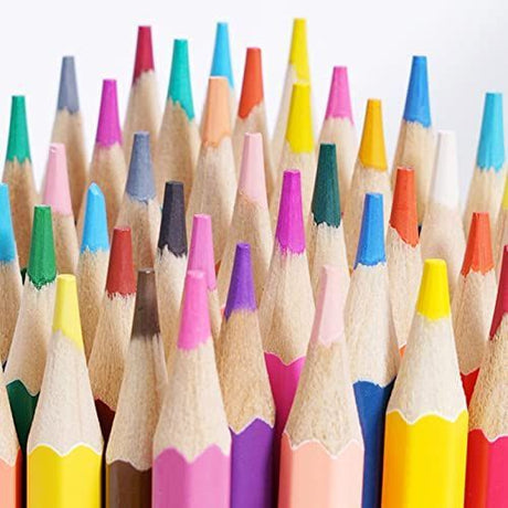 48 Pcs Premium Artist Pencil Set, Pencils Set with Canvas Wrap for Drawing Adult Coloring Books Artist Beginner Teens School Travel Birthday Gifts Art Drawing Supplies, Oil based Color Pencils