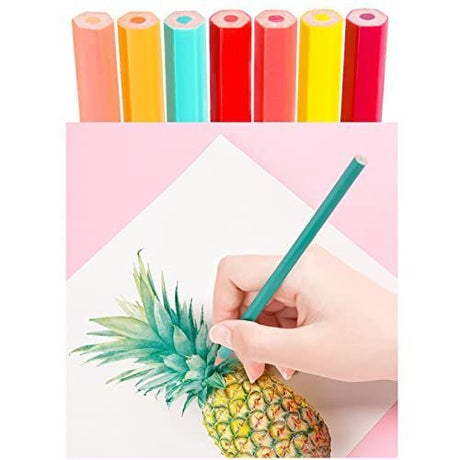 48 Pcs Premium Artist Pencil Set, Pencils Set with Canvas Wrap for Drawing Adult Coloring Books Artist Beginner Teens School Travel Birthday Gifts Art Drawing Supplies, Oil based Color Pencils
