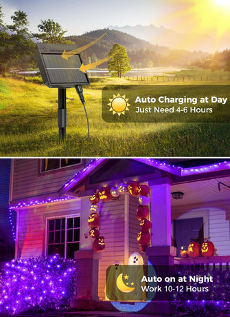Solar String Lights Outdoor Waterproof, LED Outdoor Light | Solar Fairy Lights with 8 Lighting Modes, IP65 Waterproof Solar Christmas Halloween Lights for Outdoor Outside Tree Patio - Purple - Size 105ft 300-LED String Light