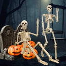 Halloween Skeleton 36-Inch Skeleton Poseable Skeleton Halloween Decorations - White - Size 1 Pcs