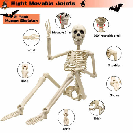Halloween Skeleton 36-Inch Skeleton Poseable Skeleton Halloween Decorations - White - Size 1 Pcs