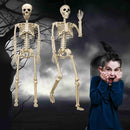 Halloween Skeleton 36-Inch Skeleton Poseable Skeleton Halloween Decorations - White - Size 1 Pcs