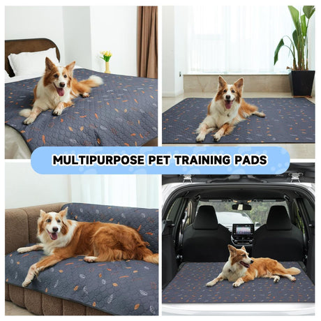2-Pack Reusable Dog Urine Pads Dog Pee Pads Absorbent Dog Pads Dog Training Pads - Dark Gray / 36in*41in