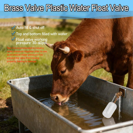1/2in Float Valve, Water Level Control Auto Fill Valve Adjuatable Arm, 60 PSI, 1.5GPM Flow, Brass Valve & Plastic Float Ball, For Water Tank, Pool, Fountain, Pet Water Dispenser - White - Size 1/2in