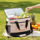 Beige Insulated Picnic Cooler Bag: Portable Waterproof Ice Bag for Outdoor Camping, Picnics & Home Use（17L）