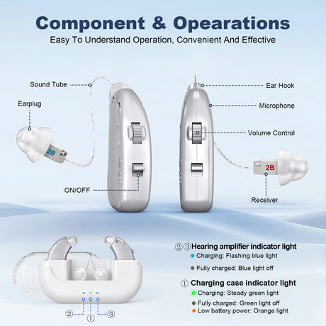 Rechargeable Hearing Amplifier with Charging Case – Compact Sound Enhancer for Daily Use, Noise Reduction & Clear Audio (White & Transparent Case, Silver Tone)