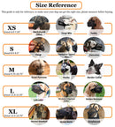 Soft Mesh Dog Muzzle for Small Medium Large Dogs – Breathable Adjustable Anti-Bite Chewing Guard with Overhead Strap – Fits Labrador, German Shepherd, Golden Retriever – 5 Sizes (Grey,M)