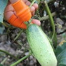 2-Piece Fruit Picking Tool Set for Home Gardens & Small-Scale Farms-Blue+Orange