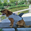 Pet products Dog Life Jacket, Cute Shark Dog Life Vest for Swimming Boating with Superior Buoyancy and Rescue Handle, Adjustable Puppy Floating Swim Vest for Small Medium Large Dogs(L)