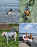 Pet products Dog Life Jacket, Cute Shark Dog Life Vest for Swimming Boating with Superior Buoyancy and Rescue Handle, Adjustable Puppy Floating Swim Vest for Small Medium Large Dogs(M)